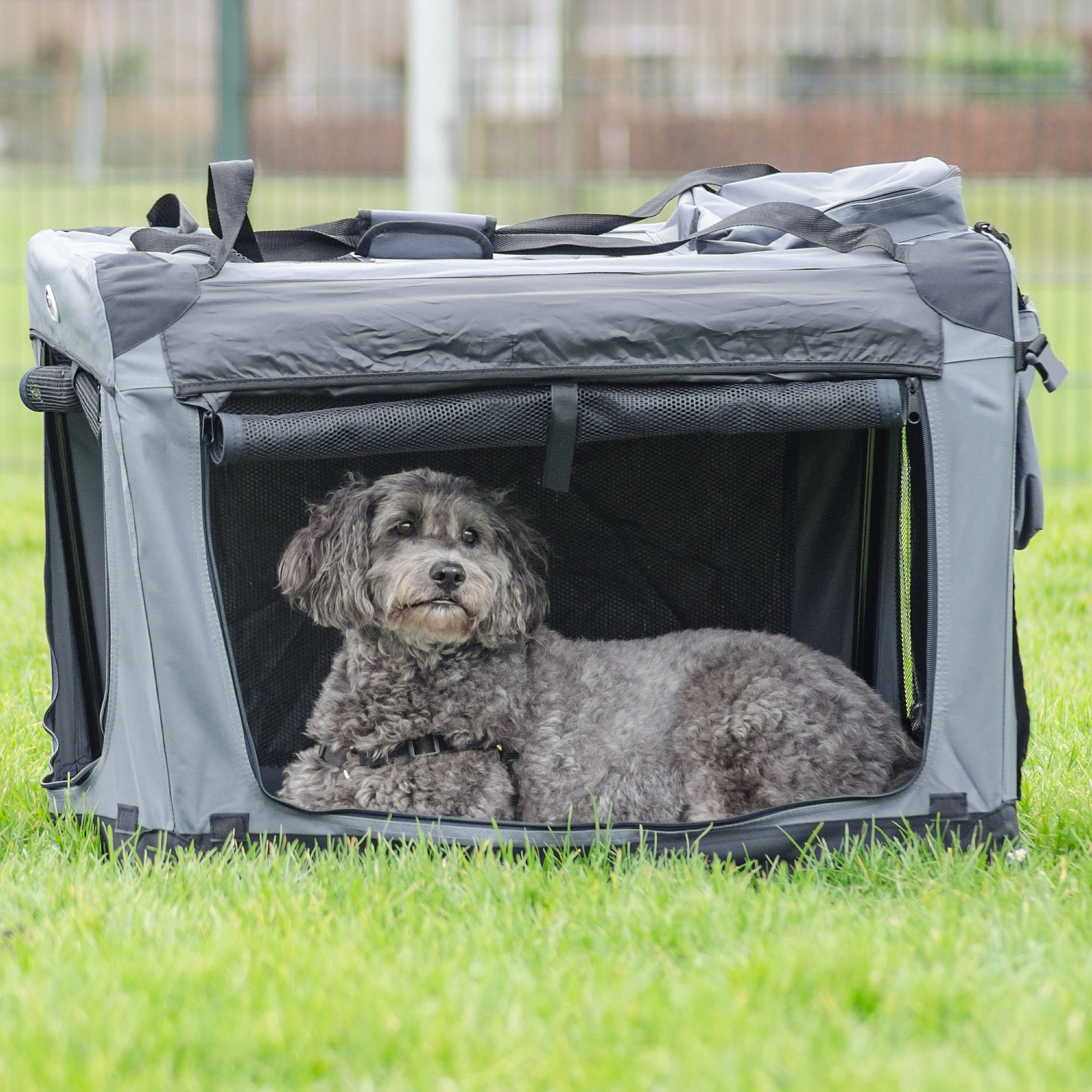 Range dog crates online